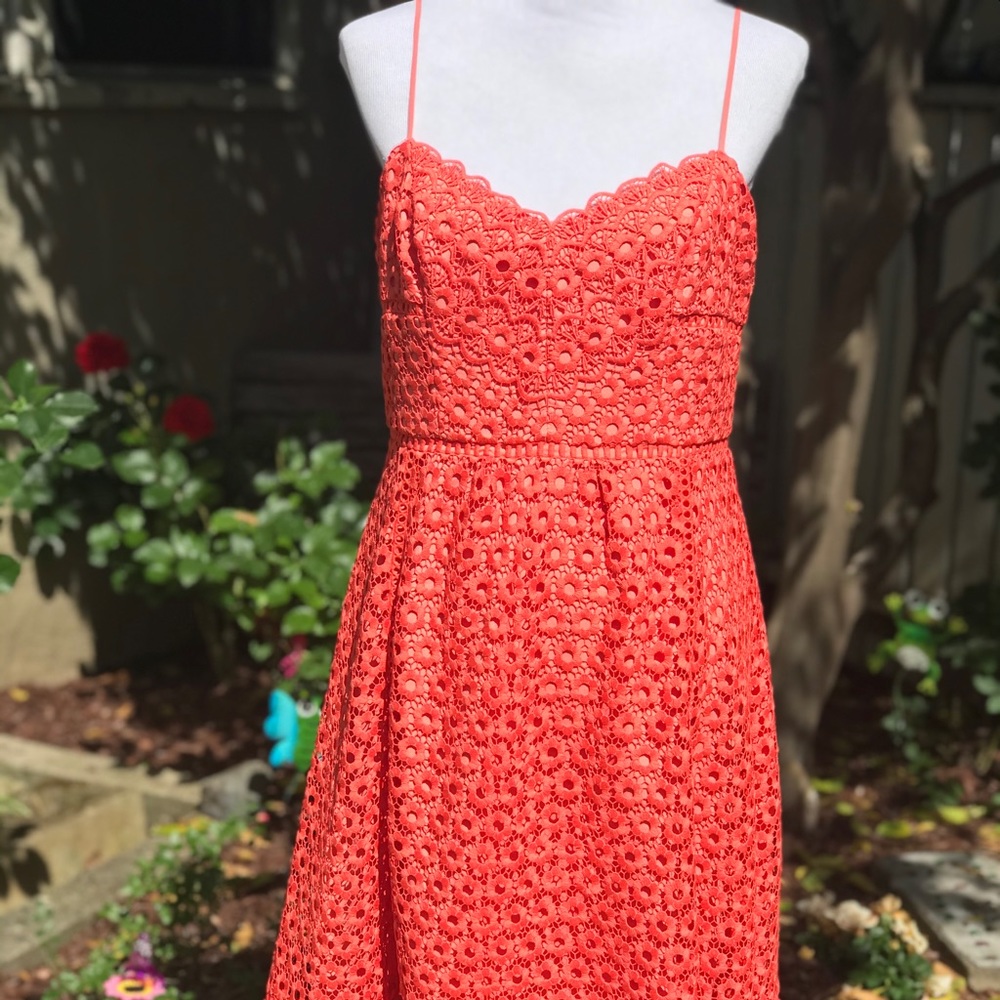J. Crew Daisy Lace Dress